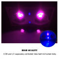 /msite/products/detail/productid/57024733/id/666378.html